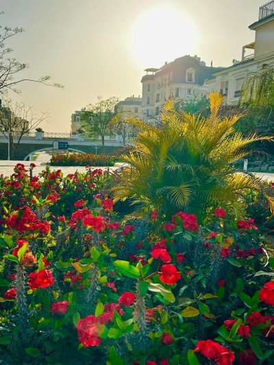 For Sale with good view at MVHP - iVilla garden 278m - Fully finished