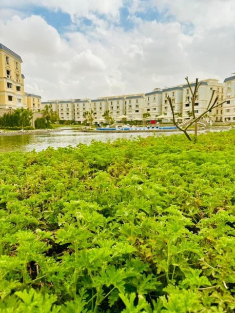 Direct from Mountain View – Cozy Special Corner Apartment 161 in Mountain View Hyde Park-16